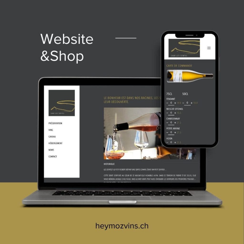 heymozvins.ch